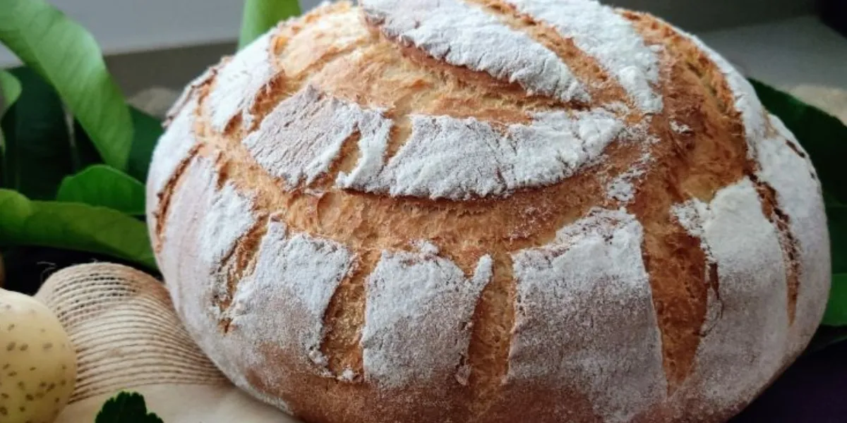 Pan de papa casero: la receta más rápida, económica  y que no se echa a perder