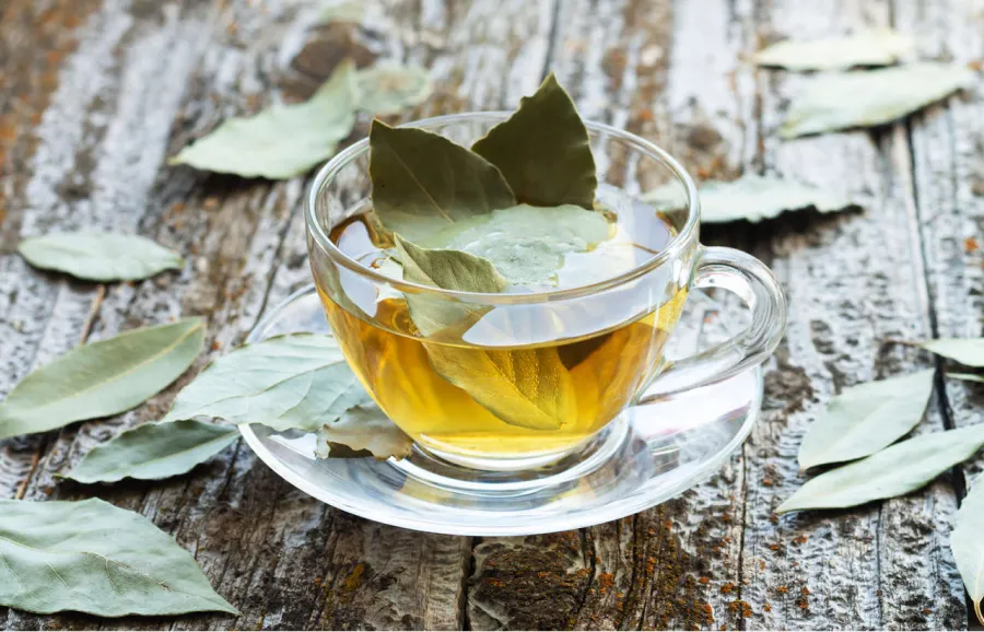 Cuáles son los beneficios del té de laurel 