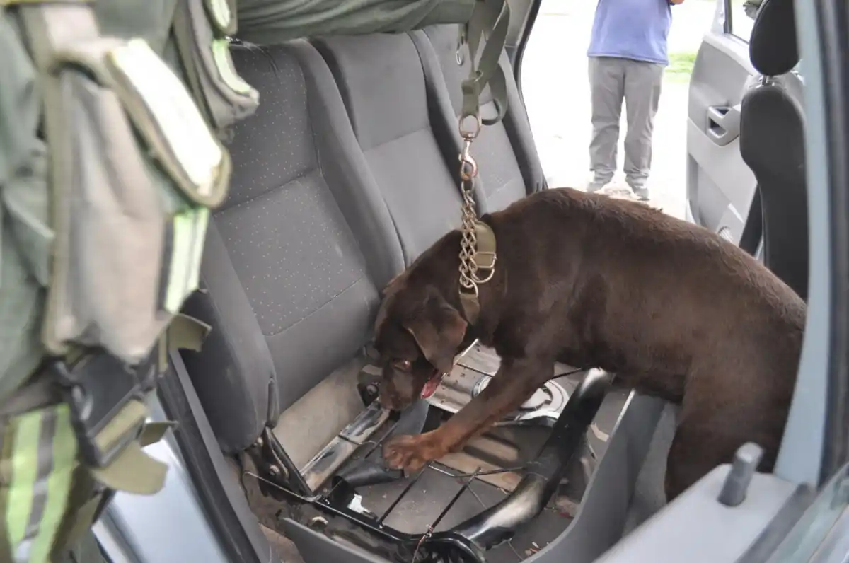 Viajaba de Orán a Mendoza en un auto y con seis paquetes con cocaína