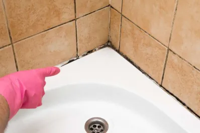 Cómo sacar el moho y la humedad del baño: estas plantas terminarán con las odiosas manchas