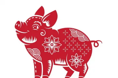 Horóscopo Chino: cómo será el 2024 para las personas del signo Cerdo, según Ludovica Squirru