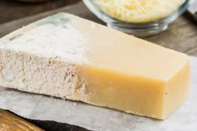 Moho en la comida: ¿en qué casos se puede comer la parte no afectada sin riesgos?