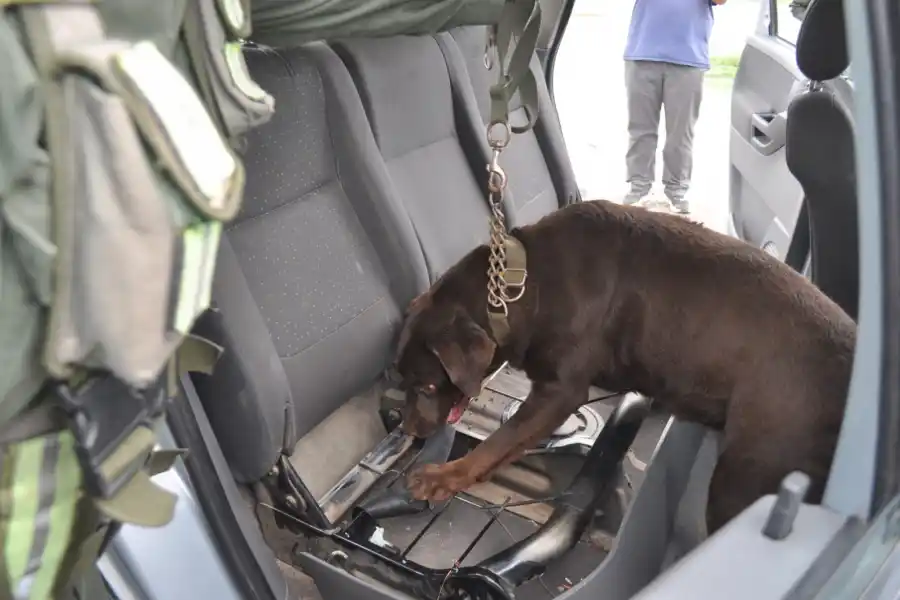 Viajaba de Orán a Mendoza en un auto y con seis paquetes con cocaína
