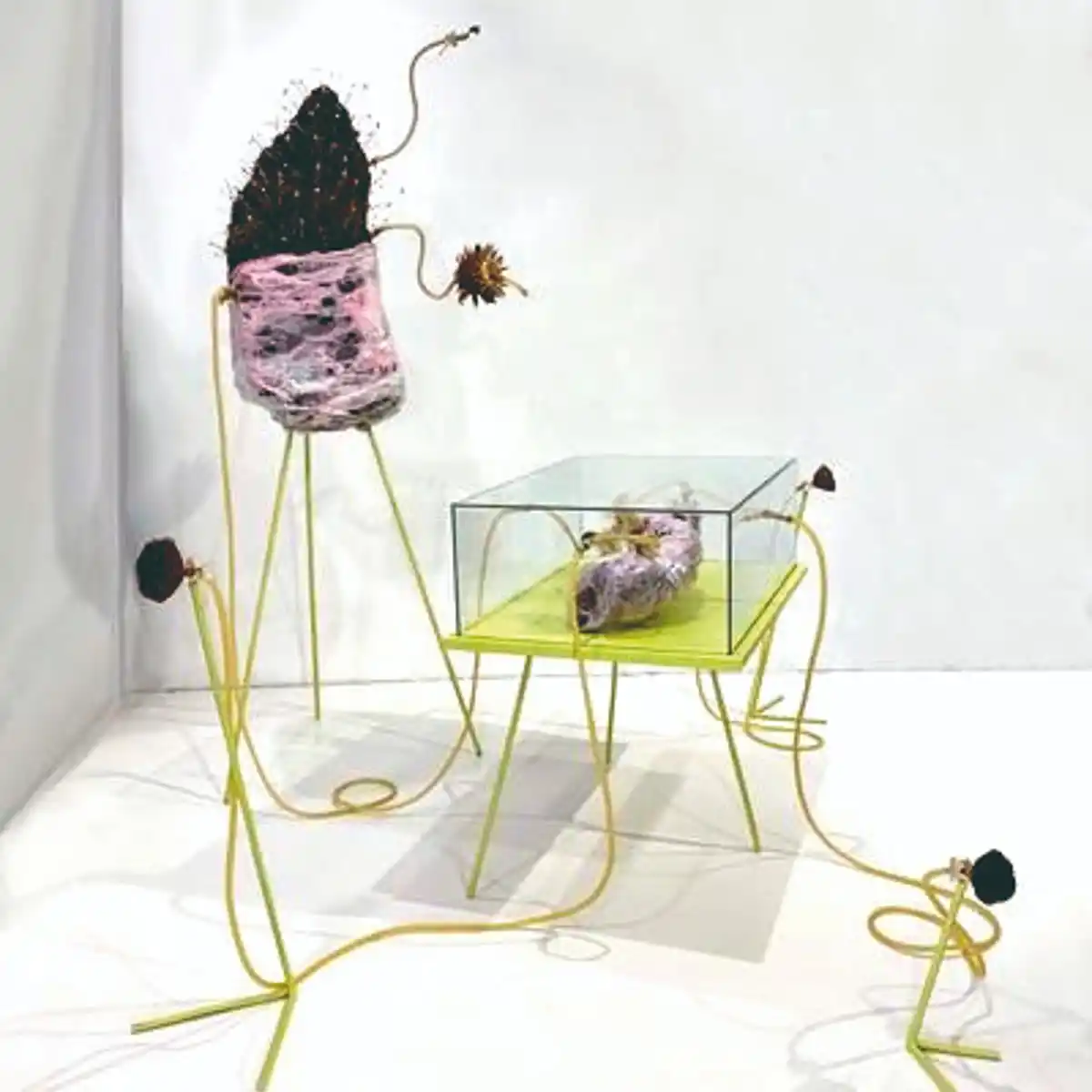 VALENTÍN ASPRELLA LOZANO. “Artefacto n°2”, Premio Región III.