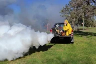 El control de mosquitos resulta clave contra la diseminación de la enfermedad