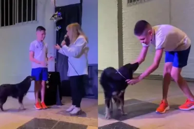 Medalla de egresada para “Negrita”: la perrita que acompañó a toda una escuela