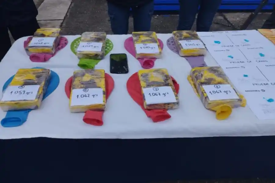 LA DROGA. En total son 8,5 kilos de cocaína de alta pureza, explicó el jefe de la Digedrop.