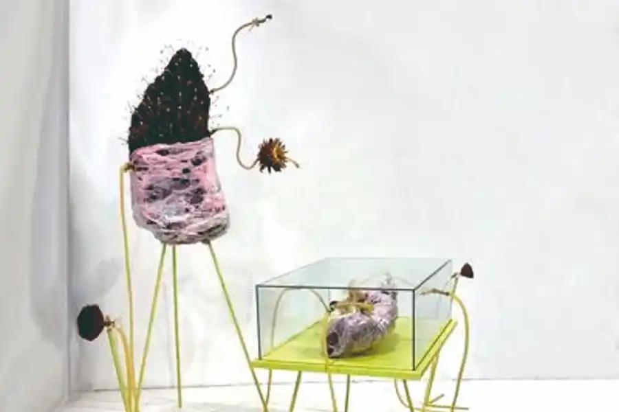 VALENTÍN ASPRELLA LOZANO. “Artefacto n°2”, Premio Región III.