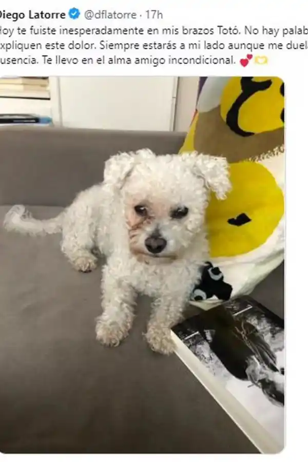 Diego Latorre hizo todo lo posible pero no pudo salvar su mascota. Así lo despidió en las redes sociales. 