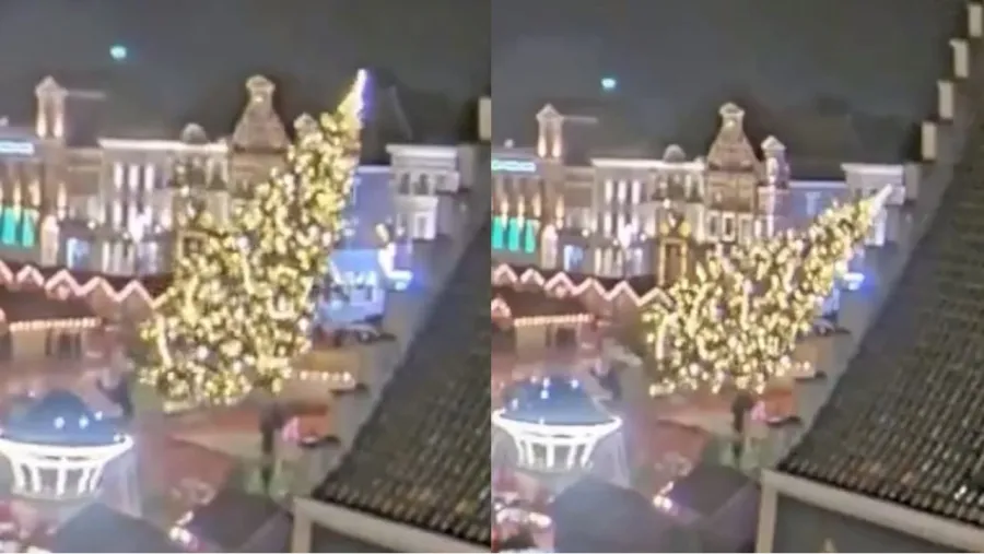 Tragedia en Bélgica: cayó un árbol de Navidad enorme y mató a una mujer 