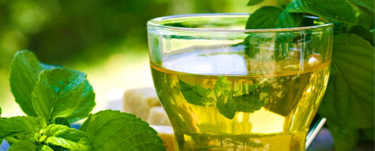Cuáles son los beneficios del té de albahaca sagrada y de qué manera debemos consumirlo.