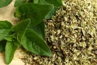 Qué pasa si tomás té de orégano todos los días: beneficios y advertencias de los expertos