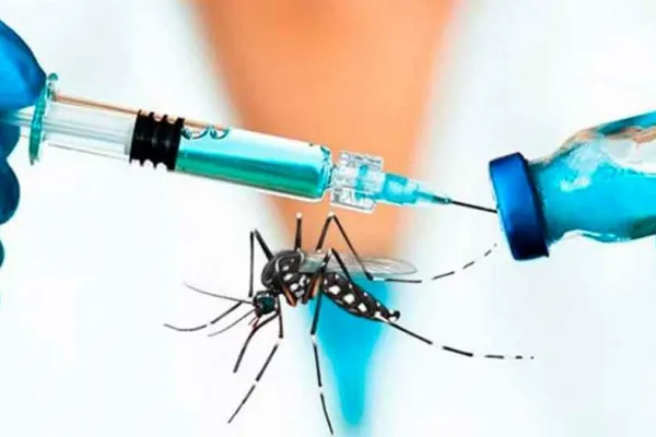 Vacuna contra el dengue: todo lo que tenés que saber