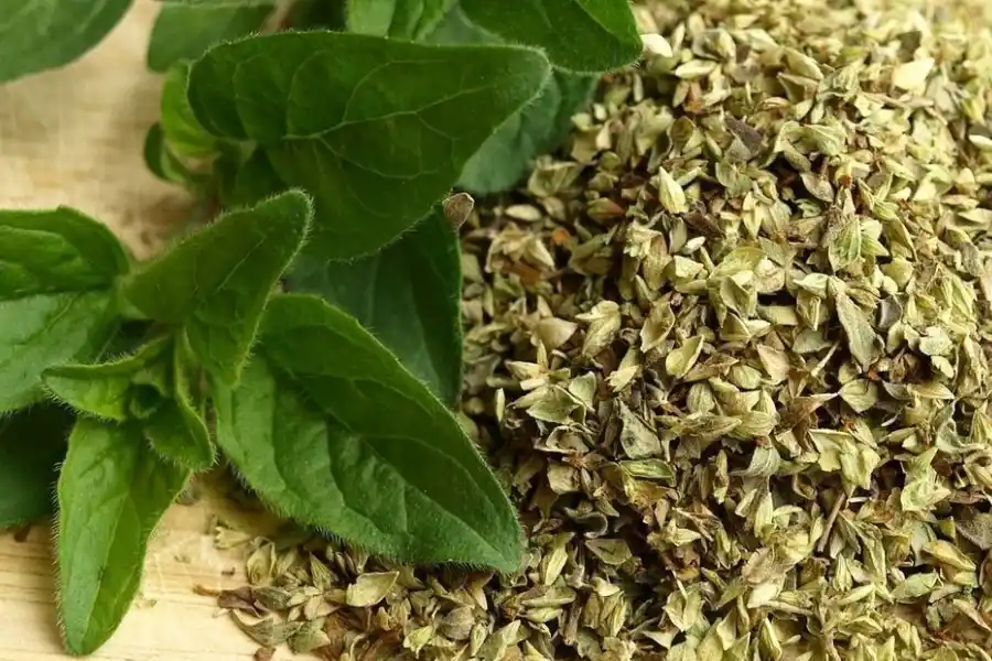 Al igual que la mejorana, el té de orégano puede tener efectos relajantes. (Foto: Clarín.)