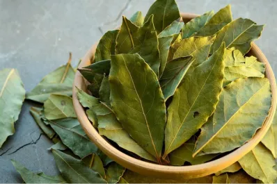 Conocé los impensados beneficios de poner hojas de laurel en el baño