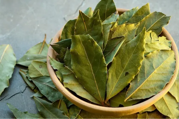Conocé los impensados beneficios de poner hojas de laurel en el baño