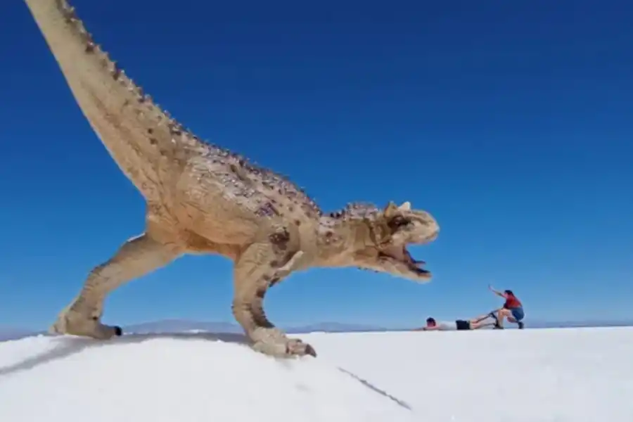 Vacaciones 2023/24: descubrí el mágico mar de sal, una maravilla natural que queda en el norte