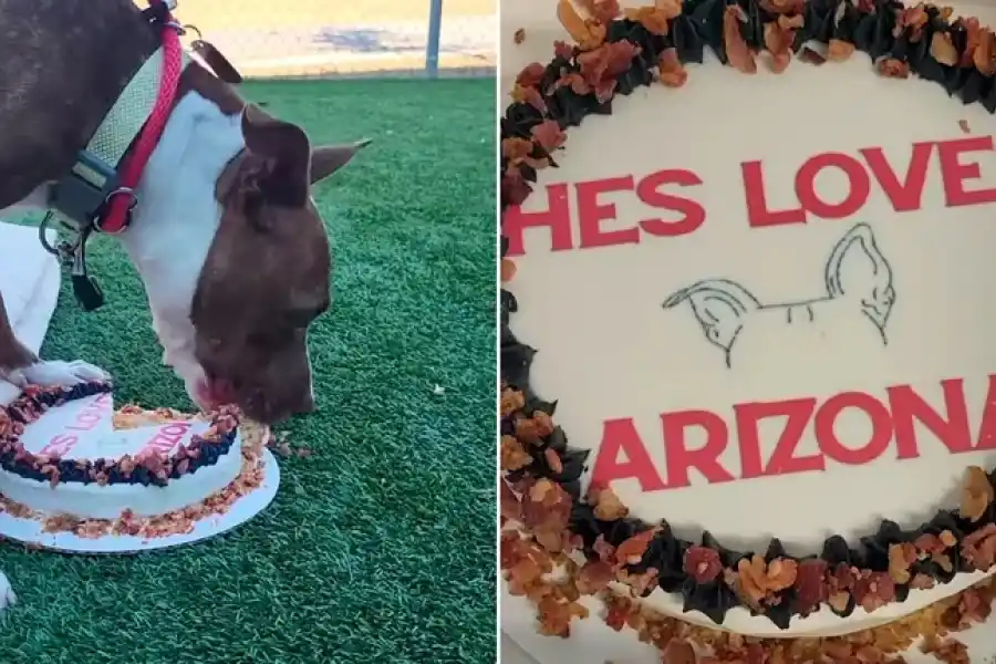 La celebración por los 1000 días de Arizona