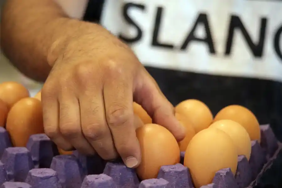 Día Nacional del Bromatólogo: consejos para cocinar sin riesgo