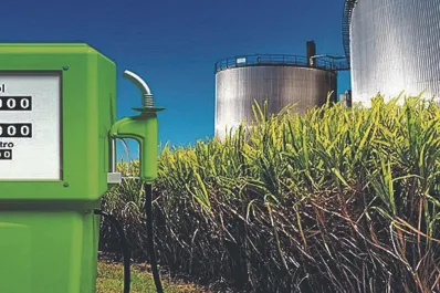 Autorizan un incremento en los biocombustibles