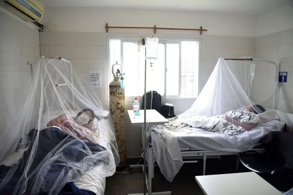Tras un año con casi 40.000 casos de dengue en Tucumán, ¿qué viene?