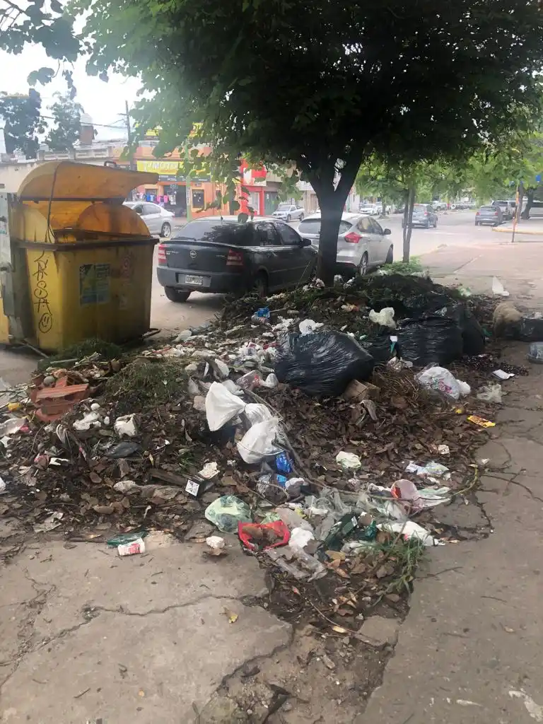 LA GACETA en WhatsApp: una enorme roca se deslizó en la ruta 338, sin causar daños