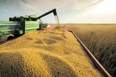 Sojeros resignarían U$S400 millones al año por DEX