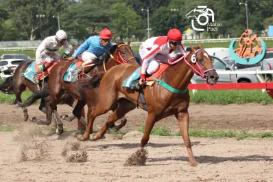 Humor and Glory pone a prueba su velocidad en la prueba central del turf