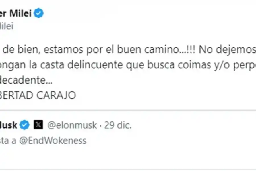 Nuevo guiño entre Javier Milei y Elon Musk: qué se dijeron