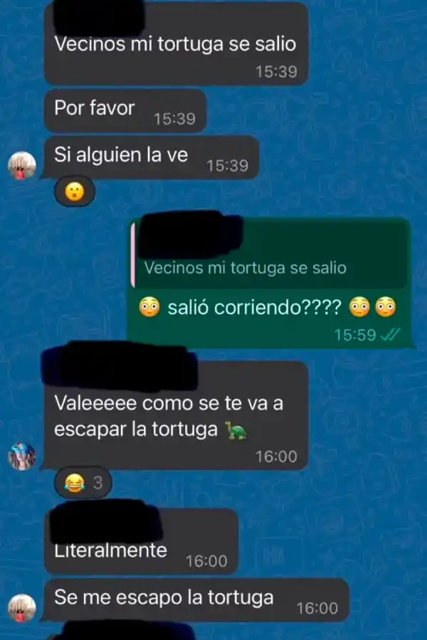 El operativo vecinal para encontrar a la tortuga perdida