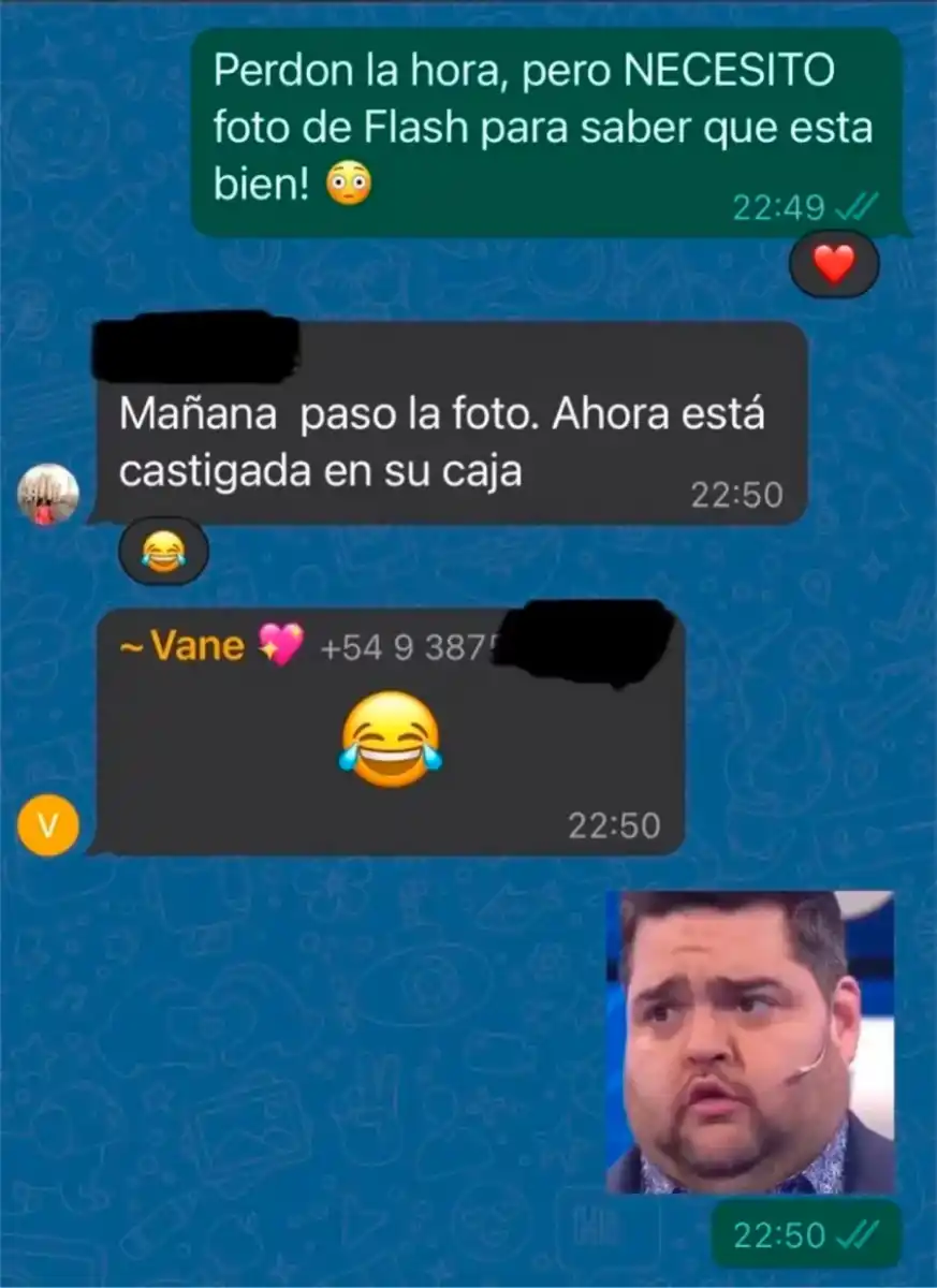 Capturas de pantalla
