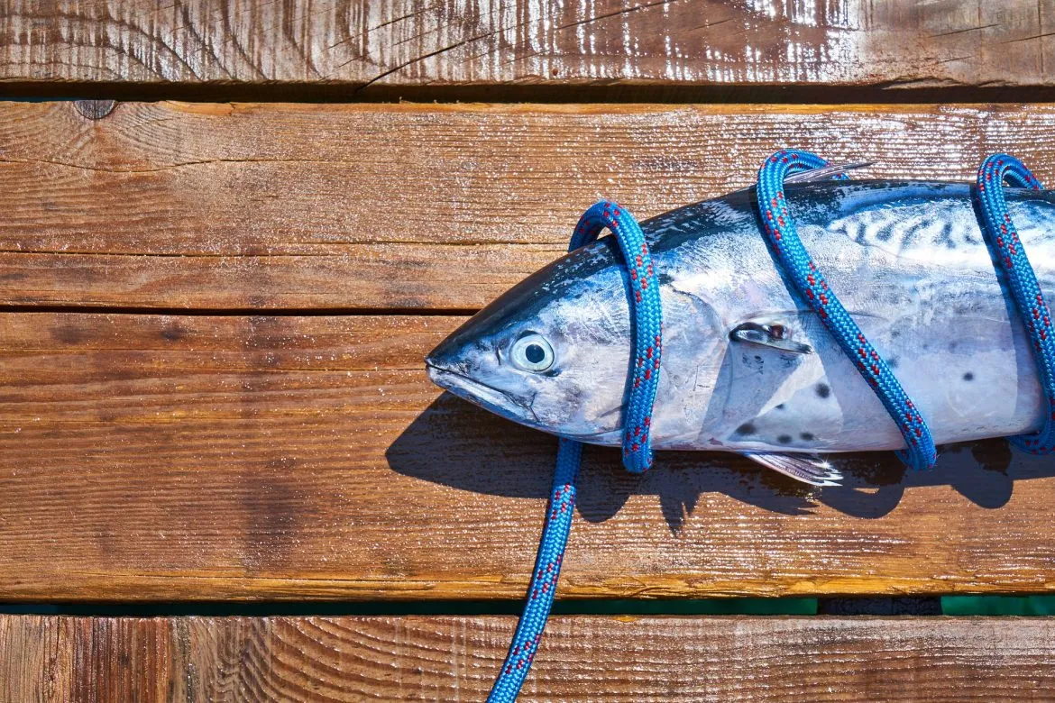 Pescado Azul (Farmacéutico Online)