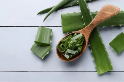 Cómo preparar la infusión de aloe vera para reducir la hinchazón abdominal y el reflujo