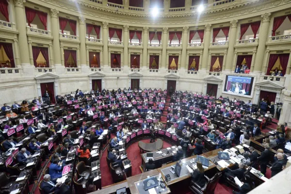 Ley ómnibus: en la primera semana del año, el Congreso avanzará en la conformación de comisiones