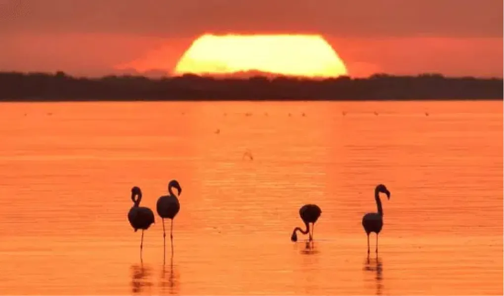 Los atardeceres son uno de los principales atractivos de Mar Chiquita en Córdoba