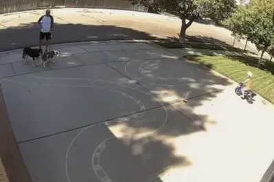 Video: vio que su vecinito paseaba en bicicleta por su garaje y decidió convertirlo en una pista