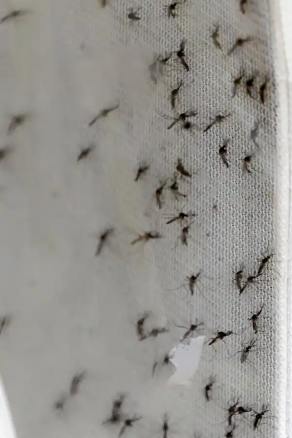 fotos na - afp - la gaceta / foto de osvaldo ripoll