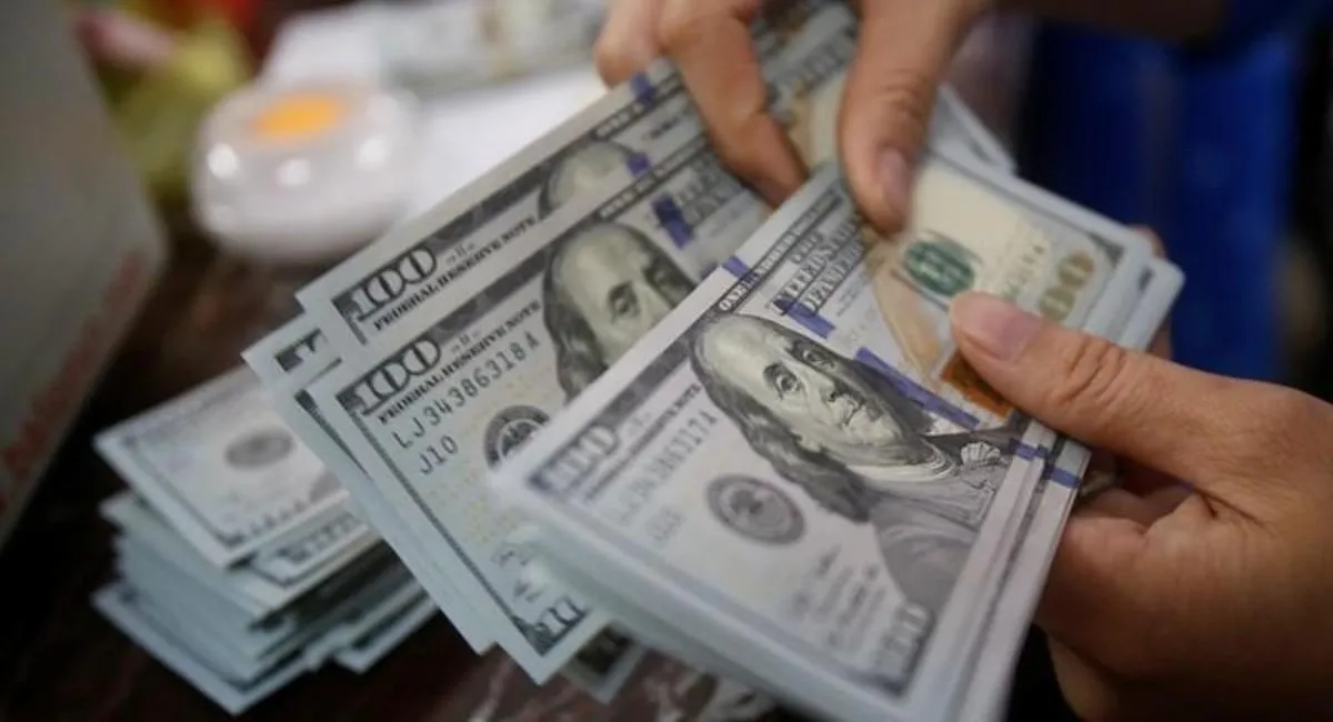 El dólar blue finalizó a $1.020 y los financieros se dispararon