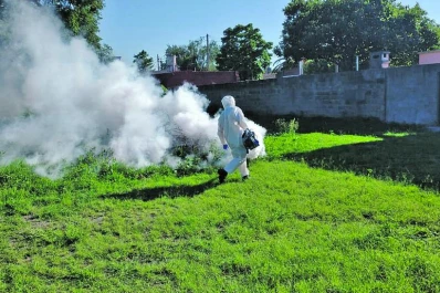 Alerta por dengue en Tucumán: dos casos podrían ser locales