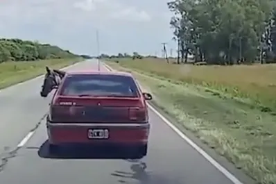Video: transportaba un caballo arriba del auto