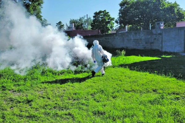 Alerta por dengue en Tucumán: dos casos podrían ser locales