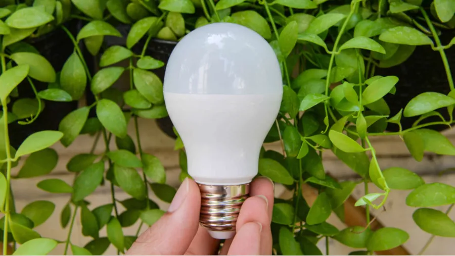 Consumo: cinco artefactos que te ayudarán a ahorrar energía en tu casa