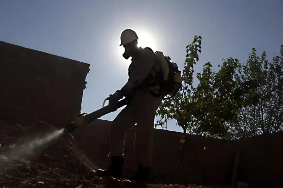 Alerta por dengue en Tucumán: dos casos podrían ser locales