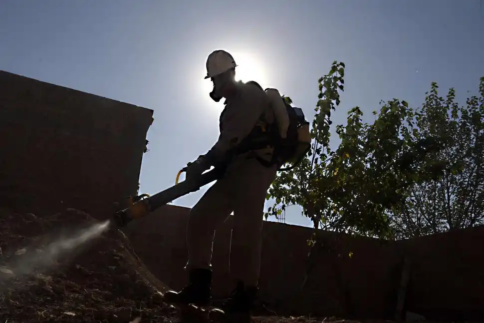 Alerta por dengue en Tucumán: dos casos podrían ser locales