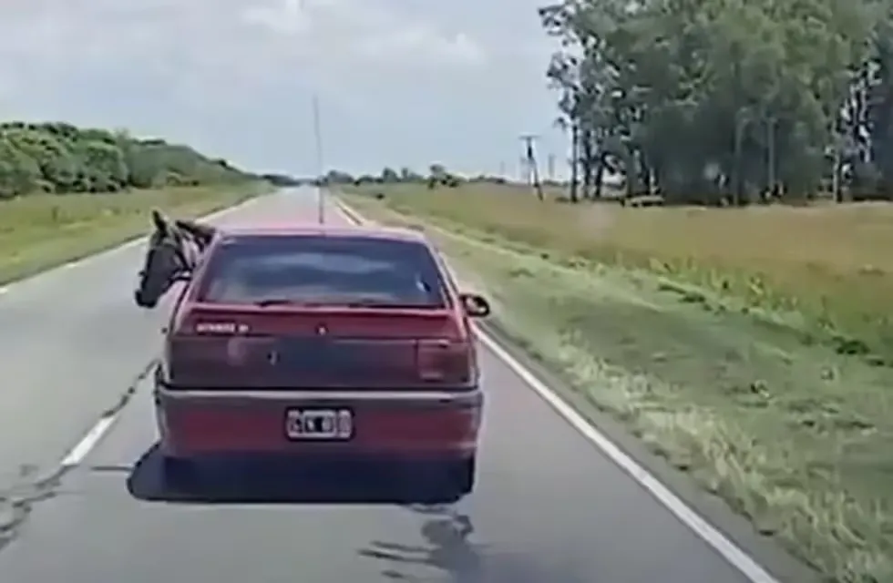 Video: transportaba un caballo arriba del auto