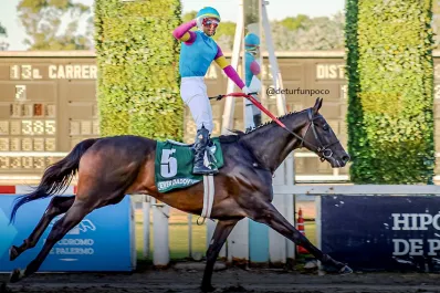 Ever Daddy irá por la gloria en el Gran Premio “Ramírez”