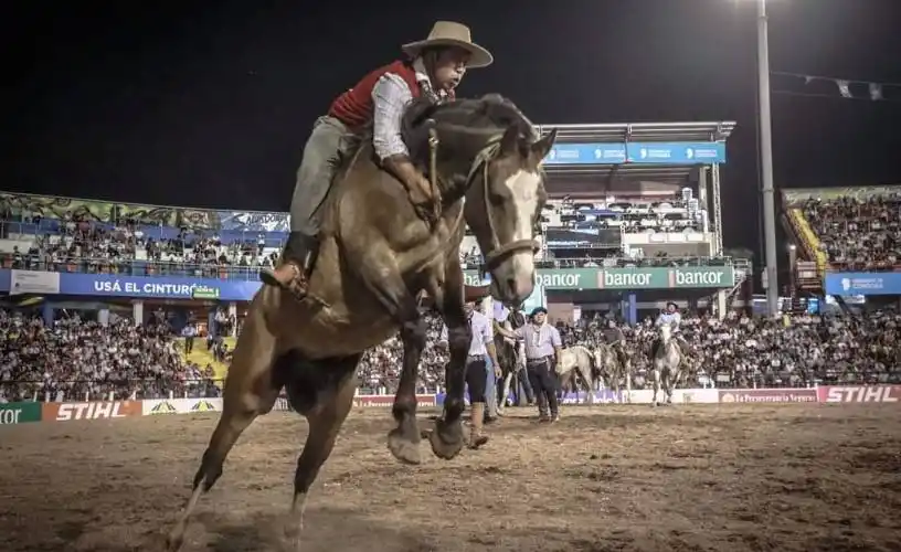 DOMA. Los espectáculos y competencias ecuestres están confirmados.