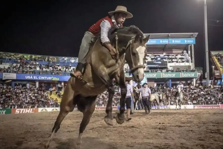 DOMA. Los espectáculos y competencias ecuestres están confirmados.