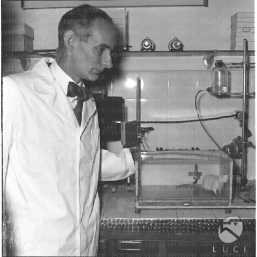 Ranking: el signo más inteligente según los ganadores del premio nobel