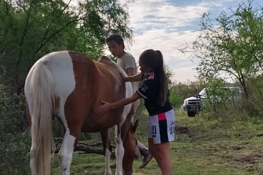 Encefalomielitis equina: su yegua contrajo el virus y contaron cómo lograron salvarla